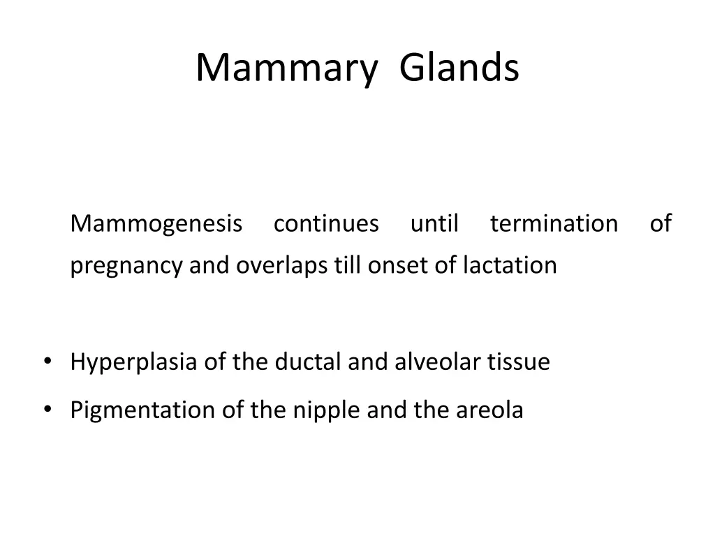 mammary glands