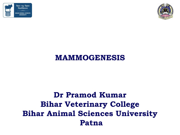 mammogenesis