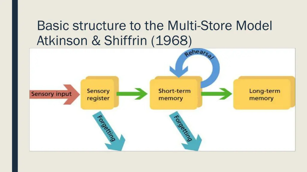 basic structure to the multi store model atkinson