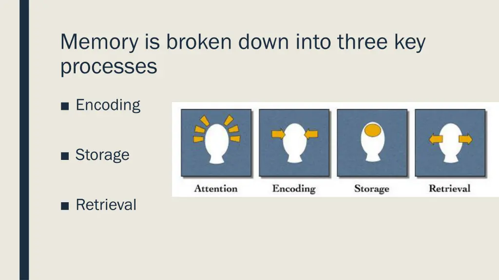 memory is broken down into three key processes