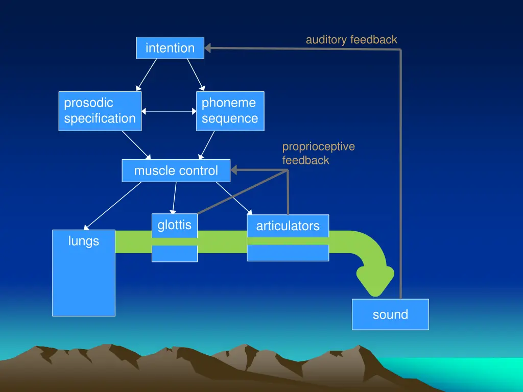 auditory feedback