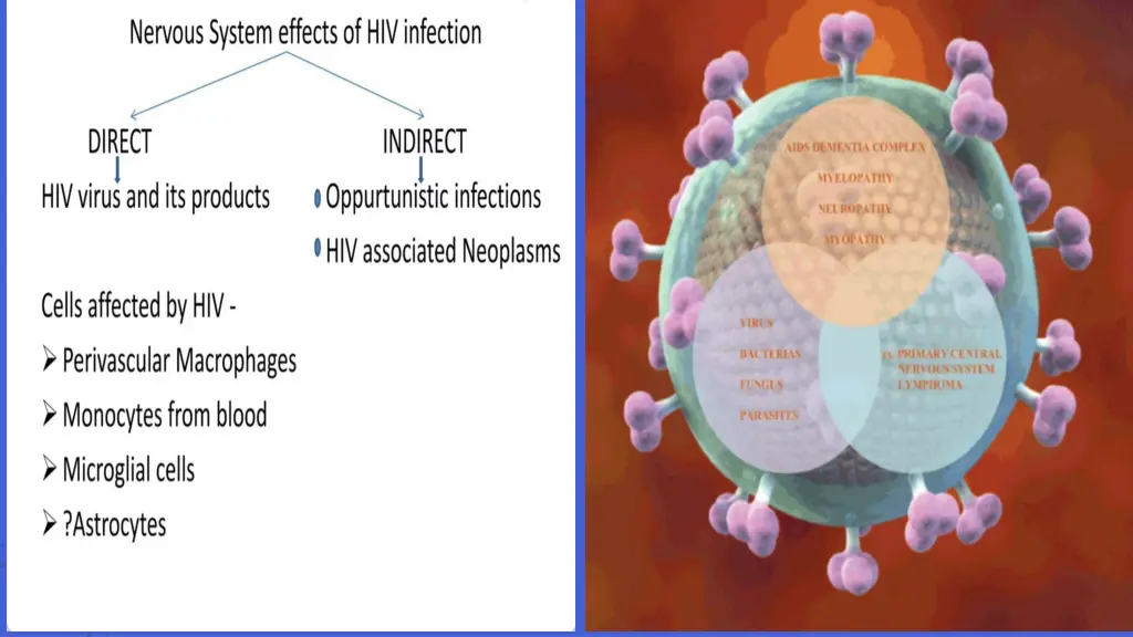 slide11