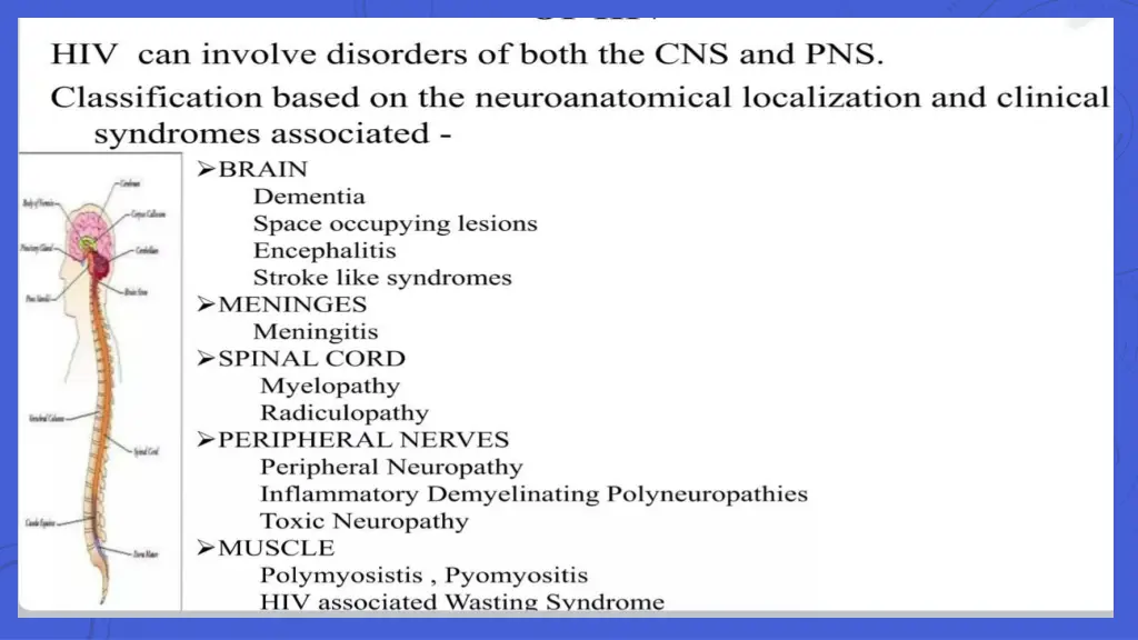 slide12