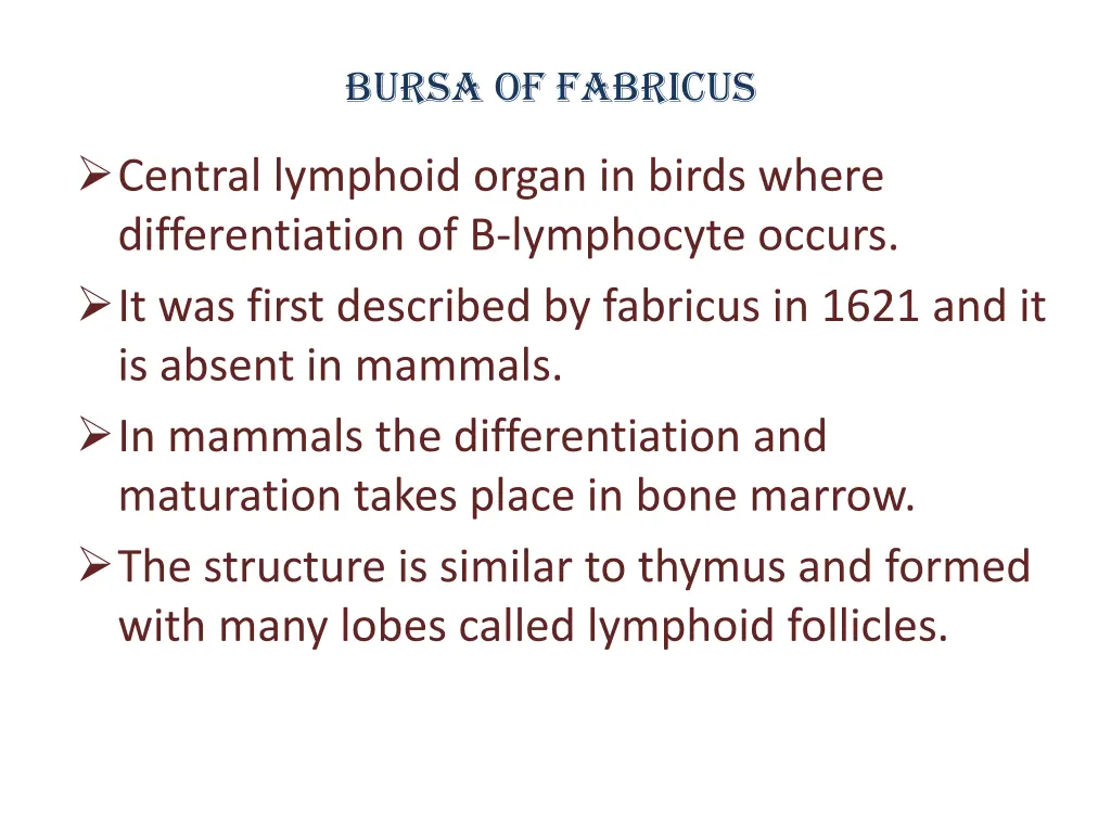 bursa of fabricus