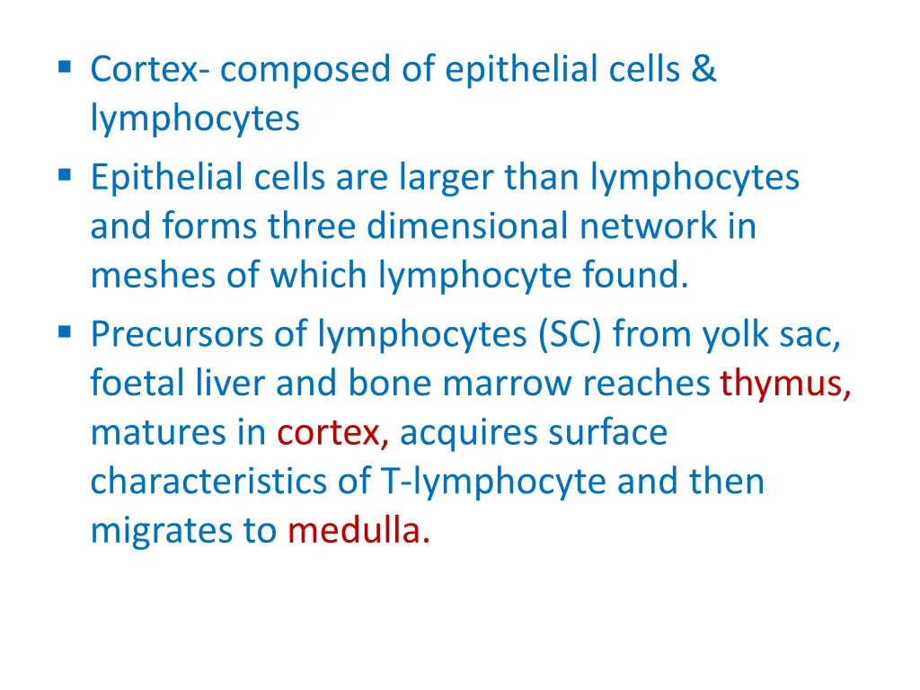 cortex composed of epithelial cells lymphocytes