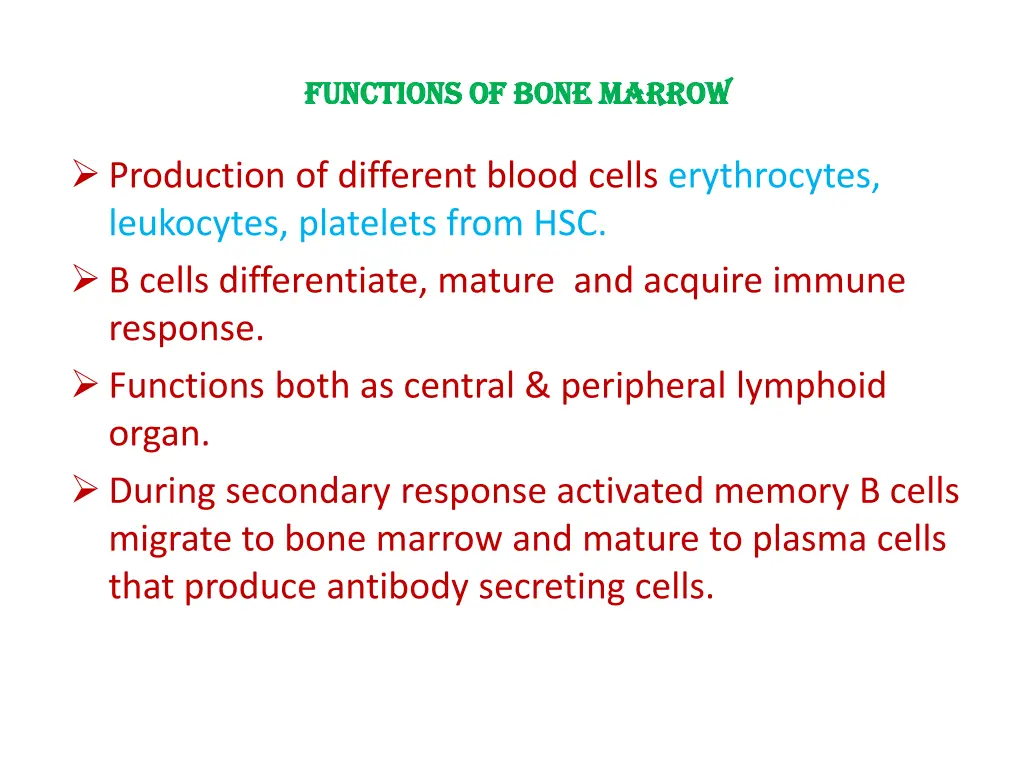 functions of bone marrow functions of bone marrow