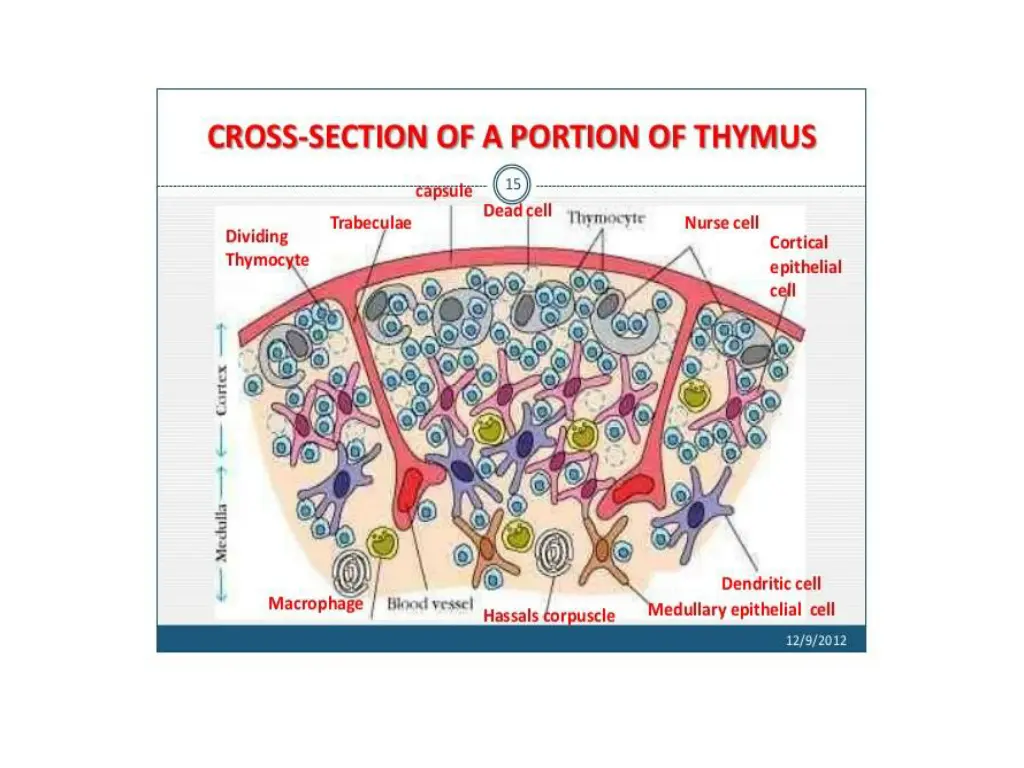 slide10