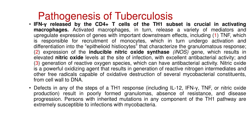 pathogenesis of tuberculosis 2