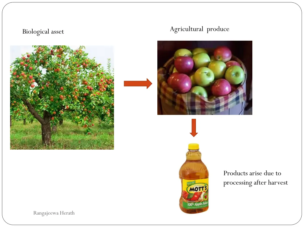 agricultural produce 1
