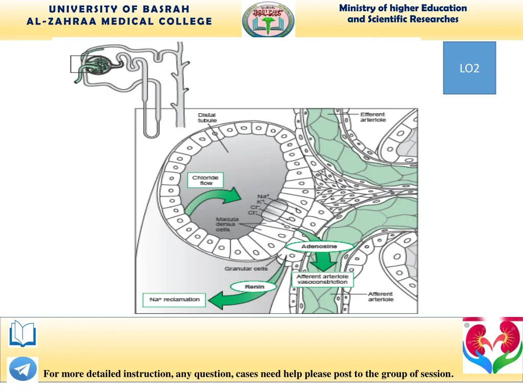 ministry of higher education and scientific 7