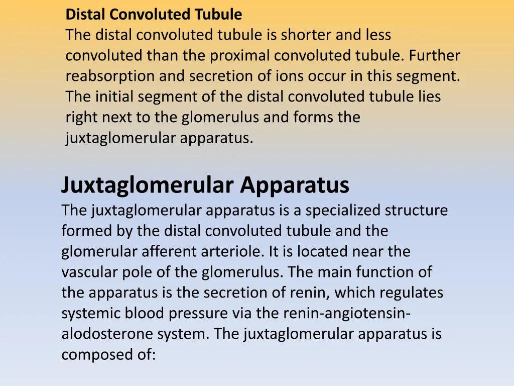 distal convoluted tubule the distal convoluted