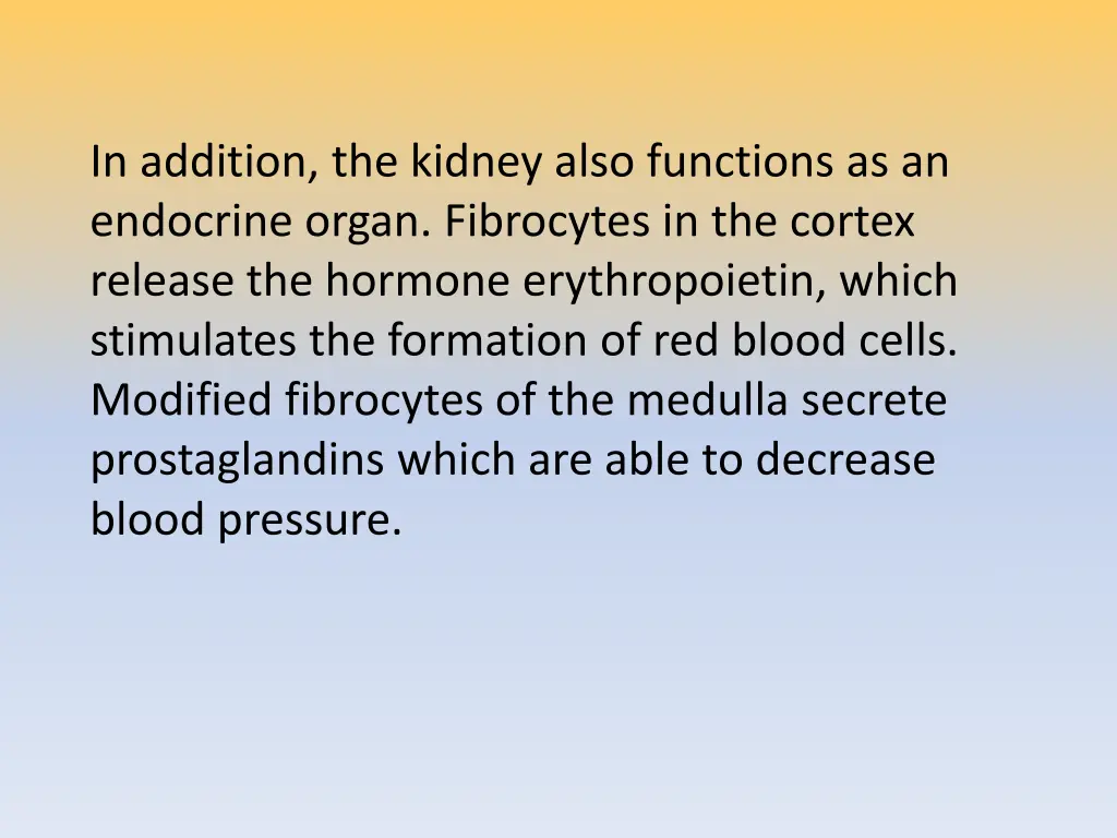 in addition the kidney also functions