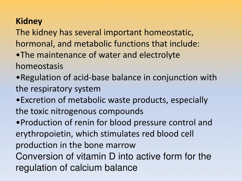 kidney the kidney has several important