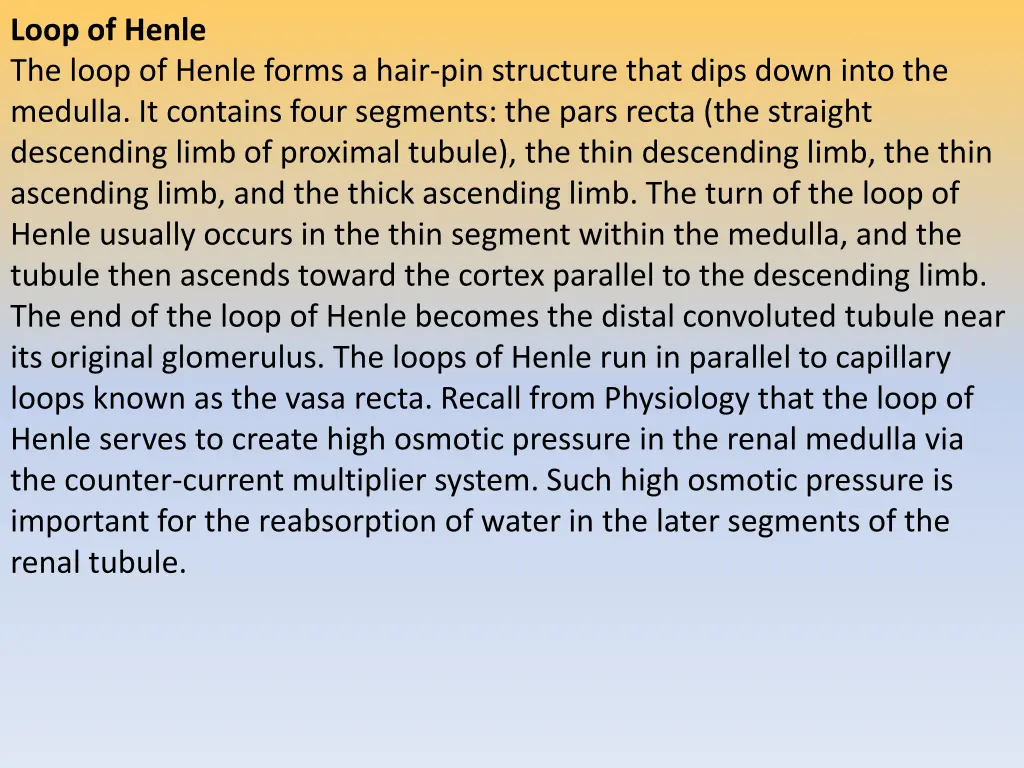 loop of henle the loop of henle forms a hair