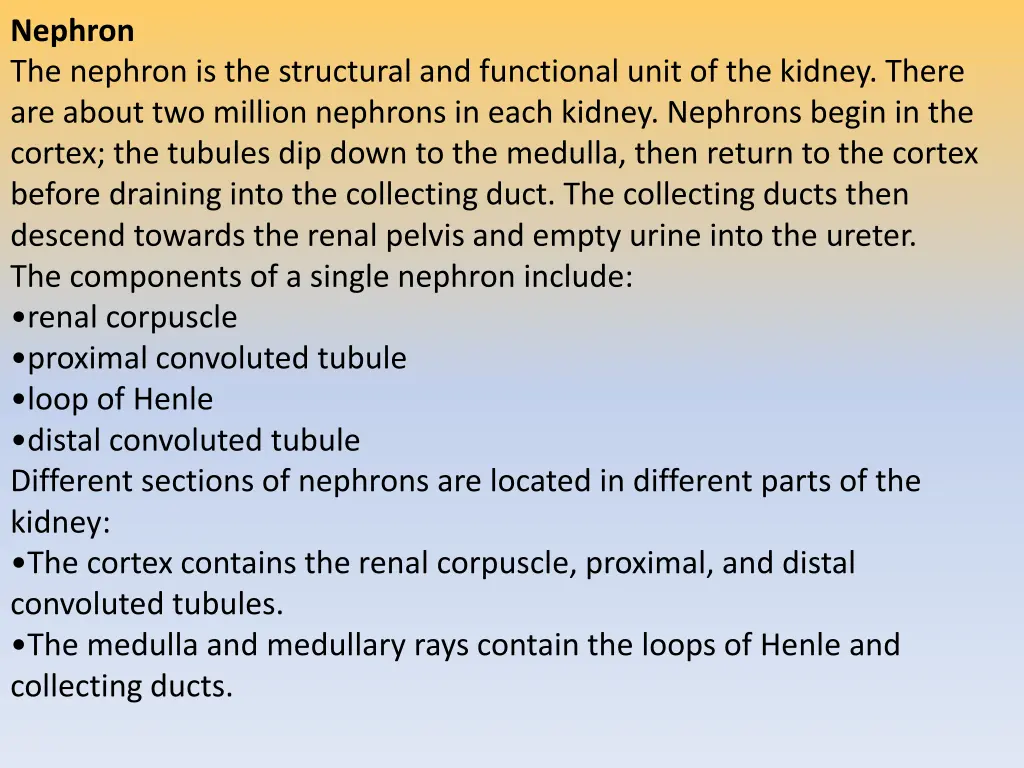 nephron the nephron is the structural