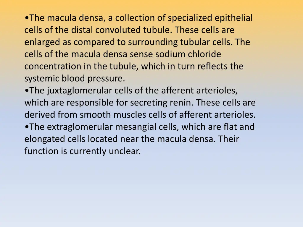 the macula densa a collection of specialized