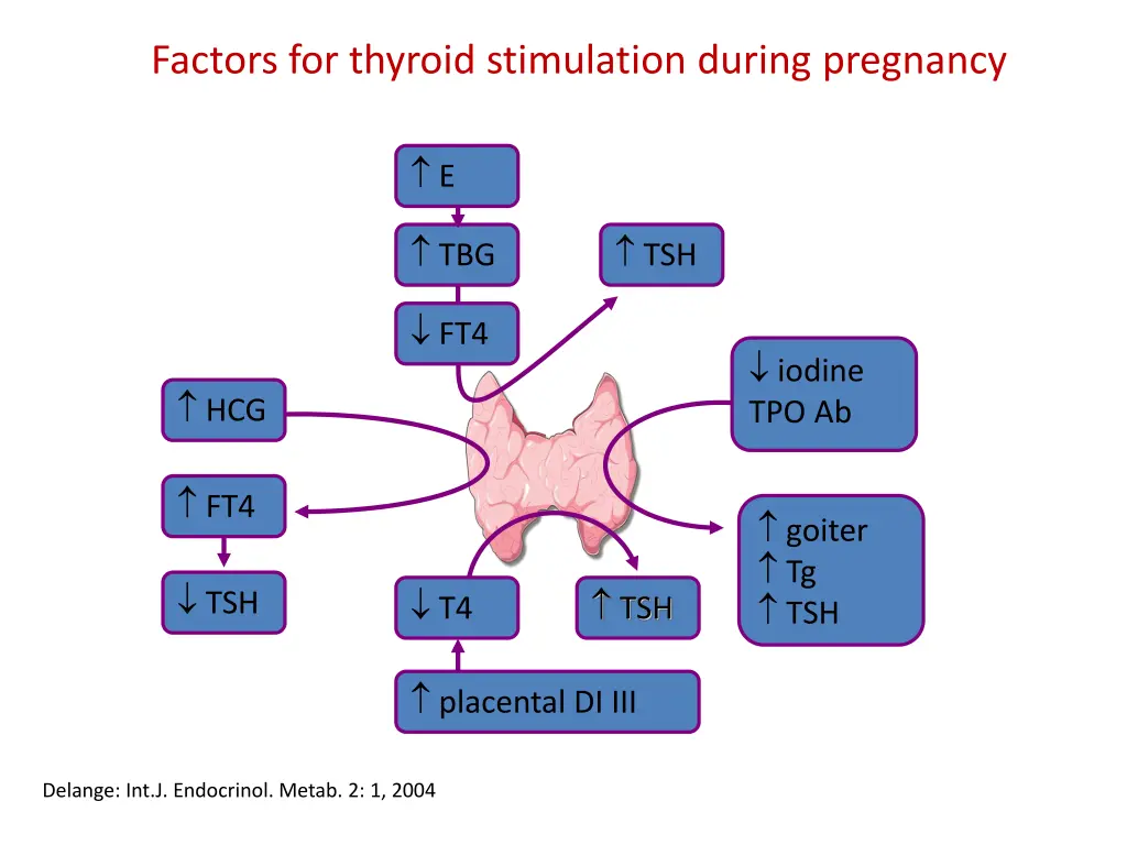 factors for thyroid stimulation during pregnancy