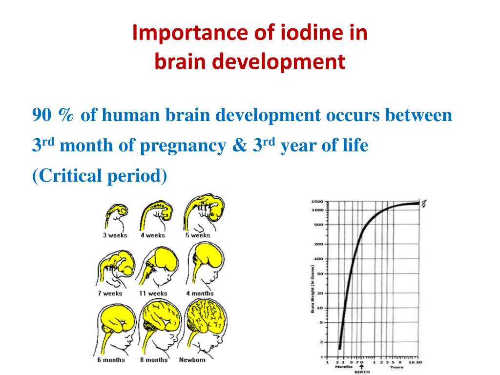 importance of iodine in brain development 1