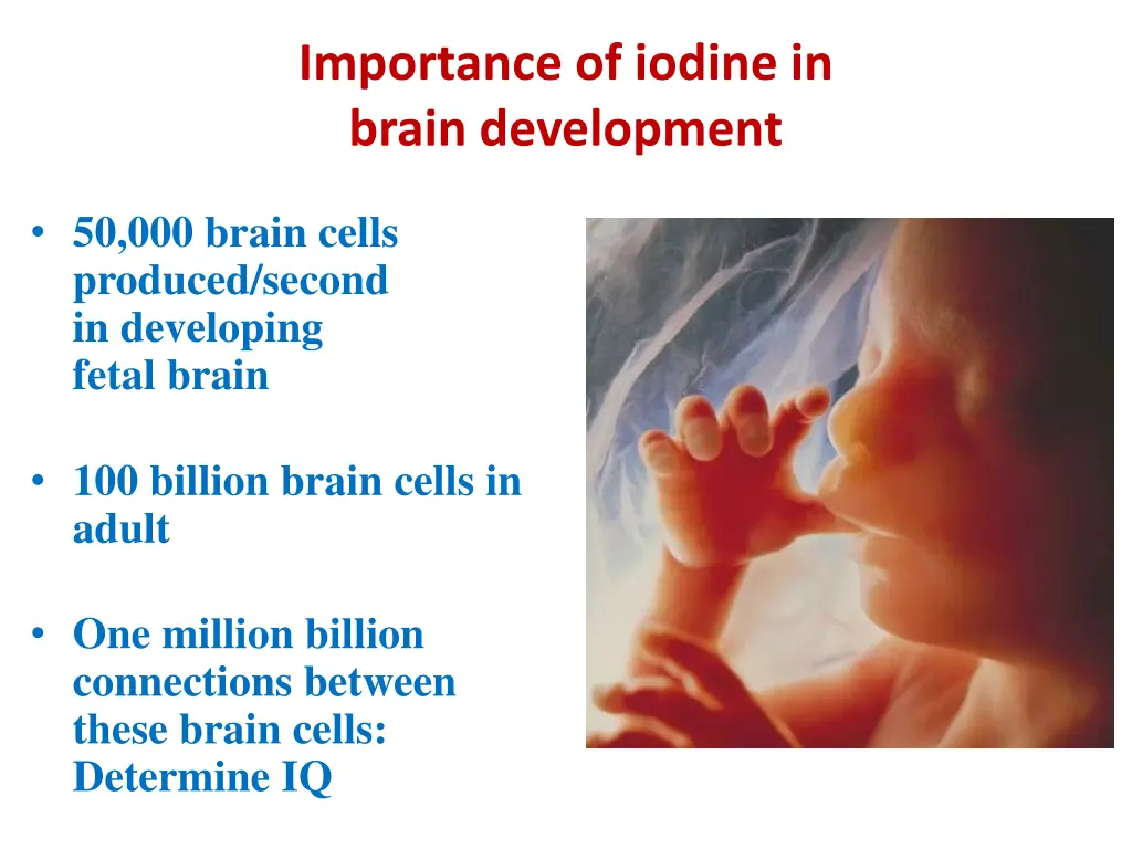 importance of iodine in brain development