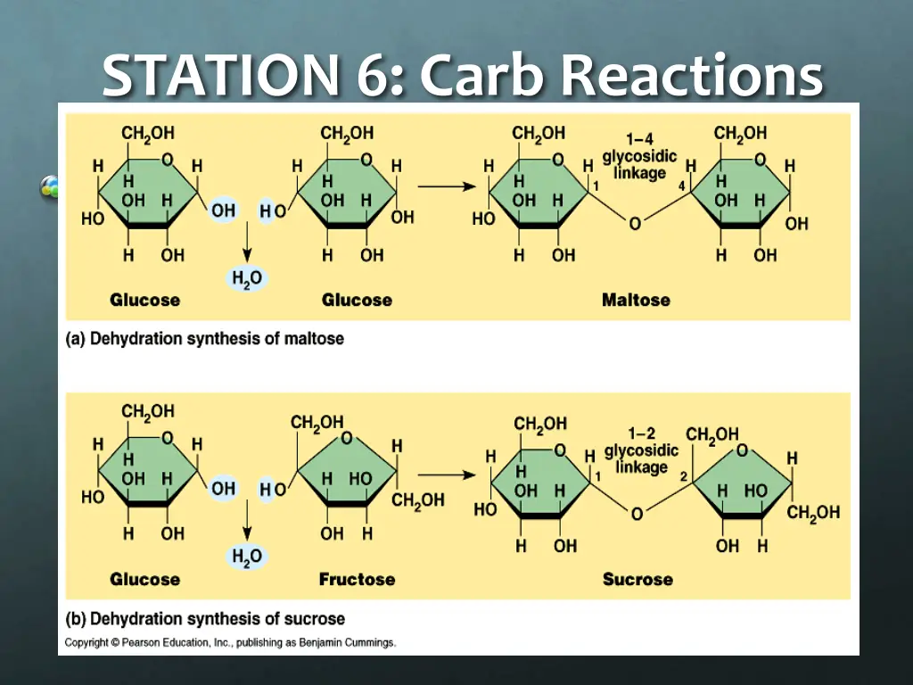 station 6 carb reactions