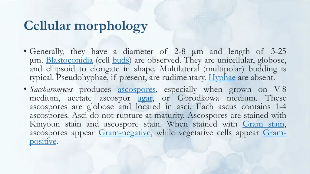 cellular morphology