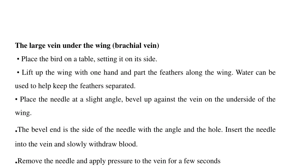 the large vein under the wing brachial vein
