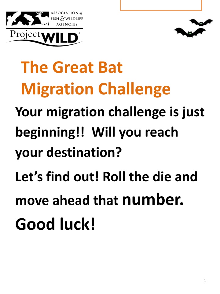 the great bat migration challenge