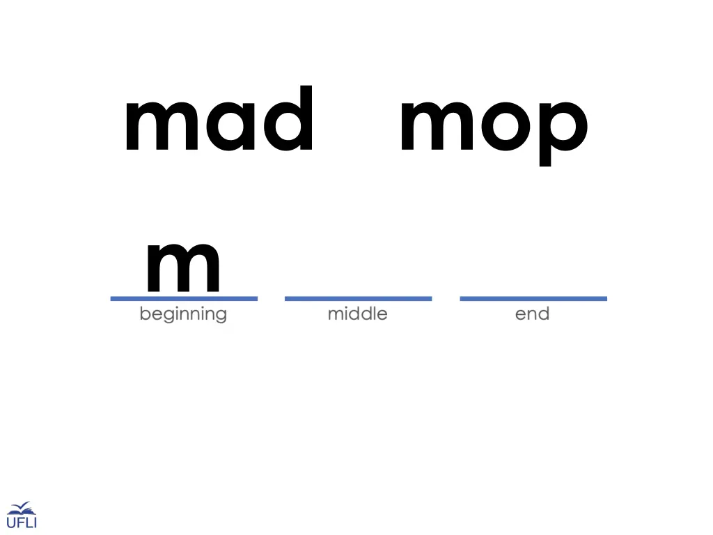 mad mop m