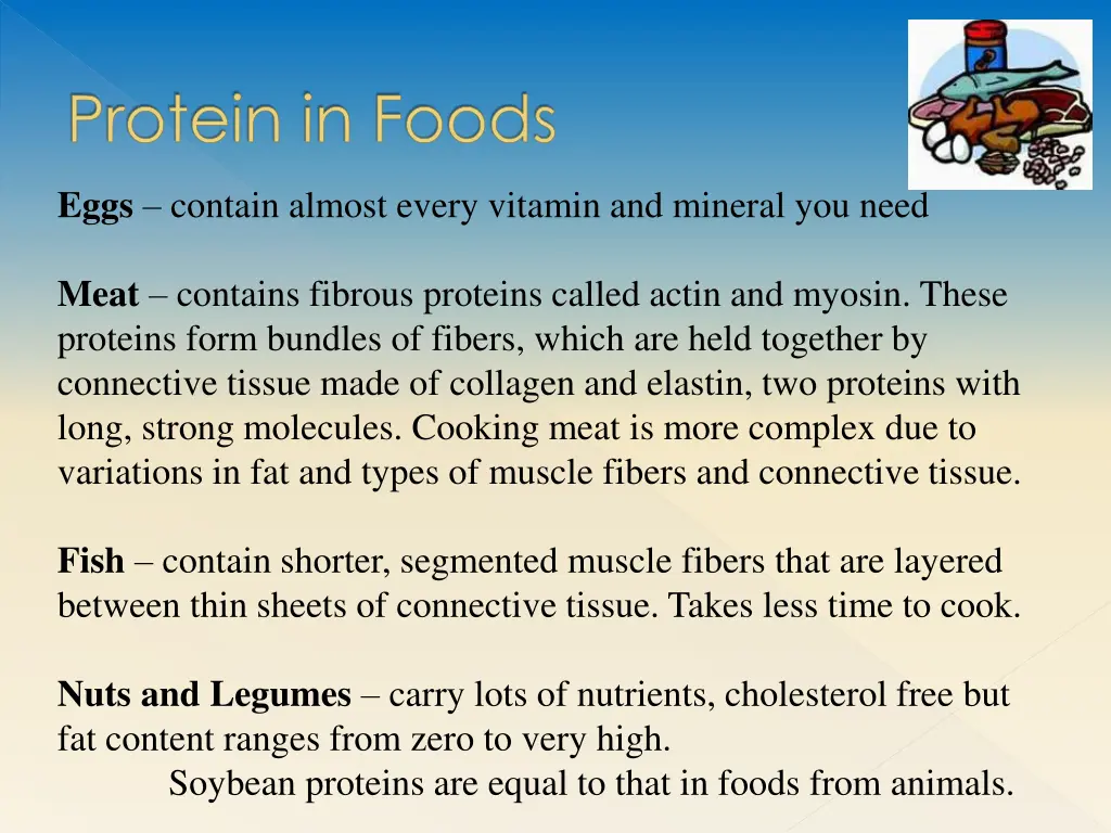 protein in foods