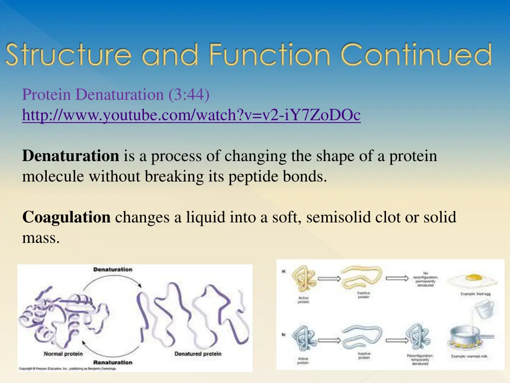 structure and function continued