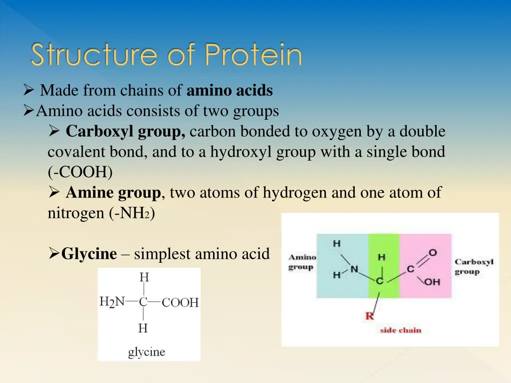 structure of protein made from chains of amino