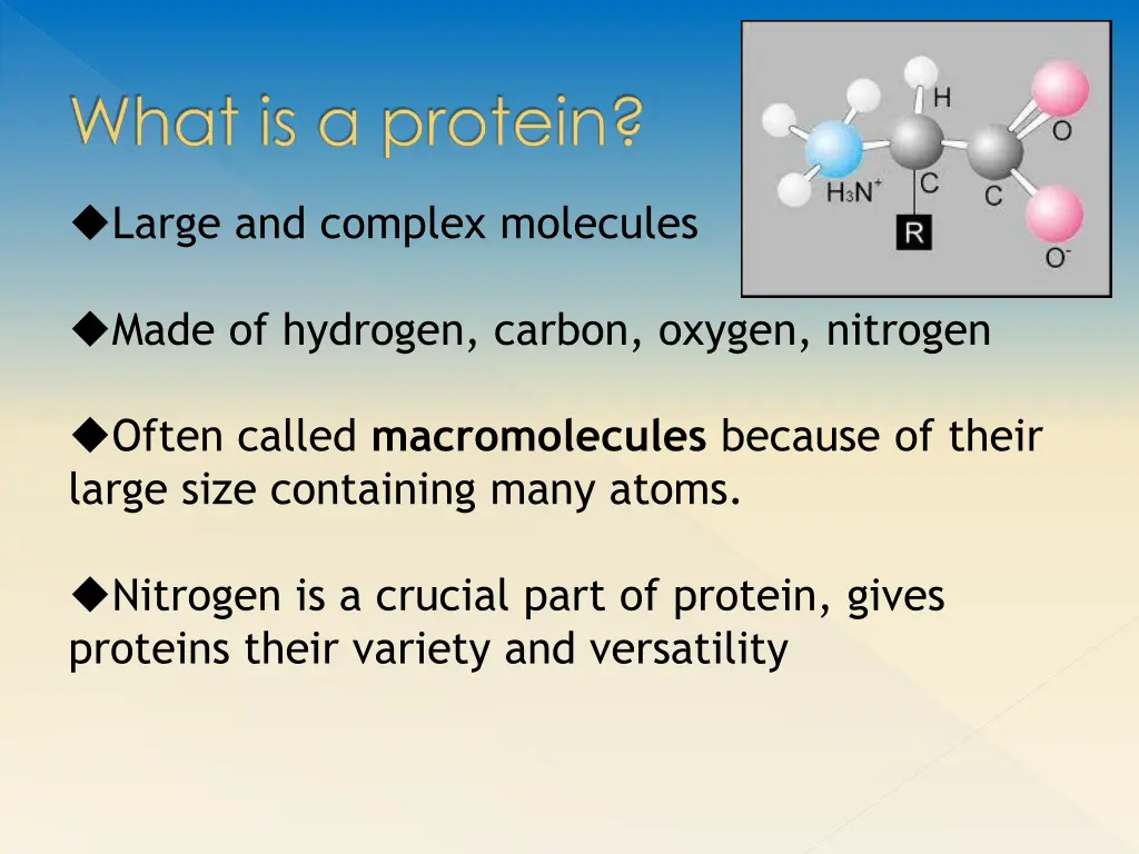 what is a protein