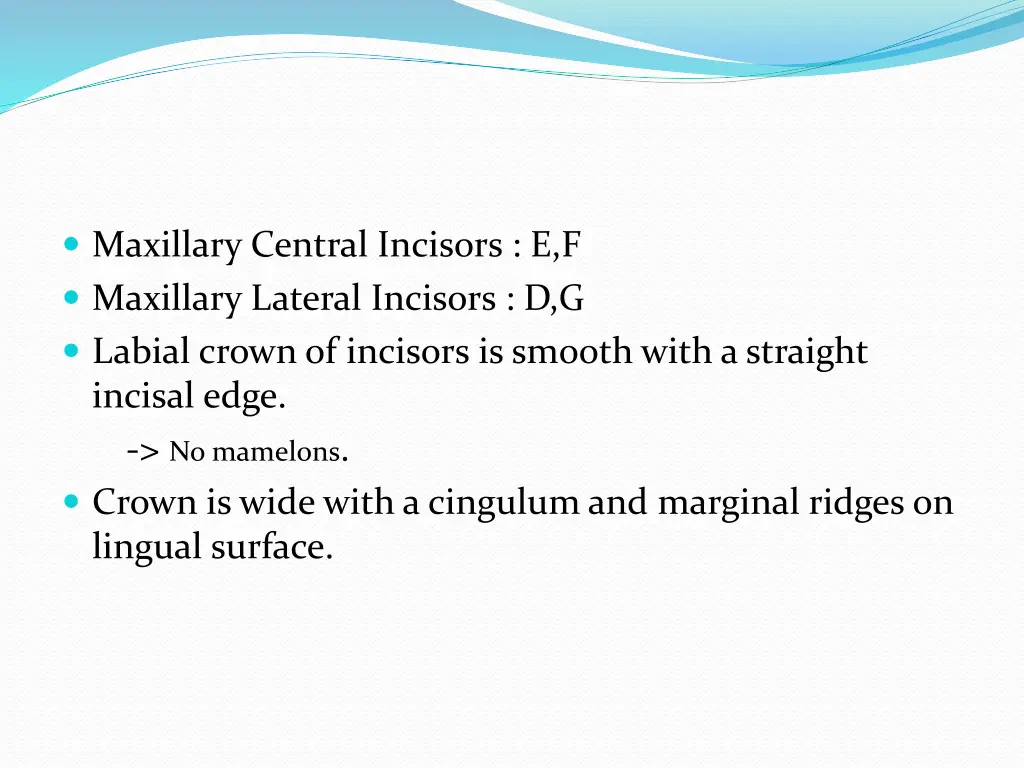 maxillary central incisors e f maxillary lateral