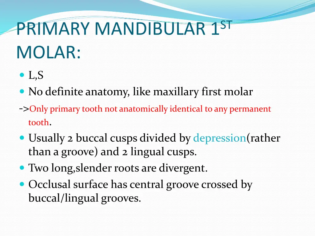 primary mandibular 1 st molar