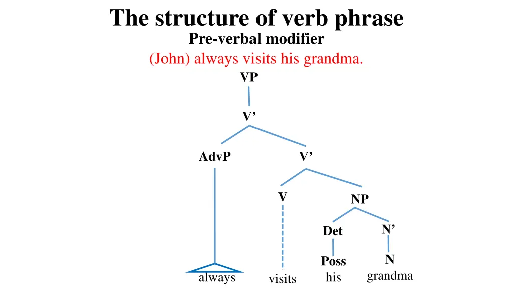 the structure of verb phrase pre verbal modifier