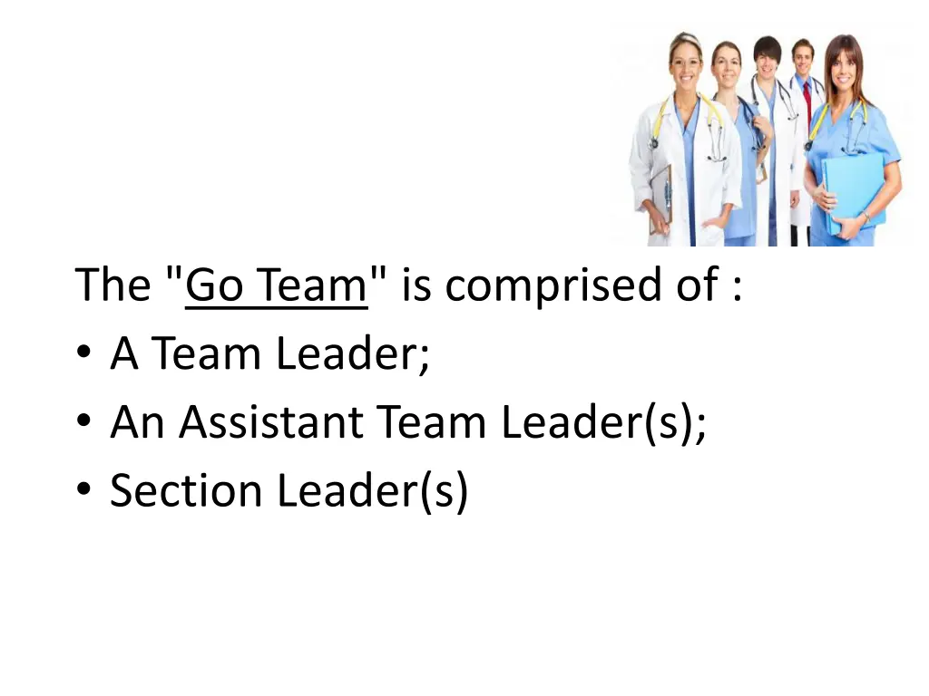 the go team is comprised of a team leader