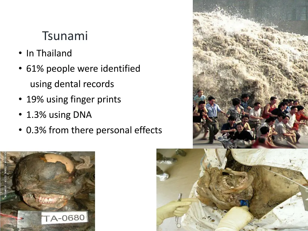 tsunami in thailand 61 people were identified