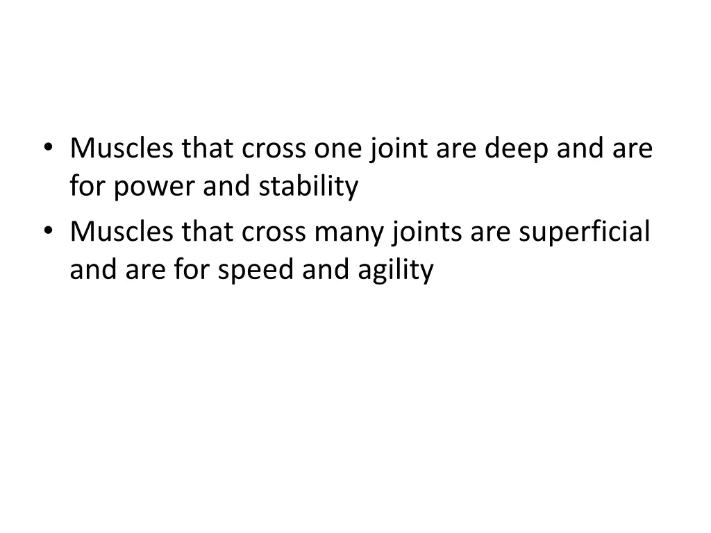 muscles that cross one joint are deep