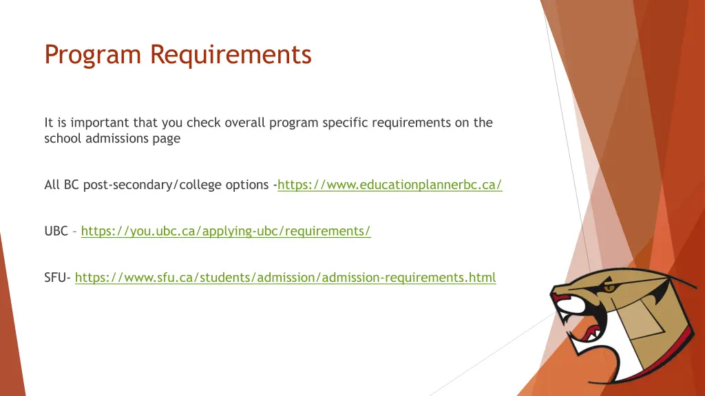 program requirements