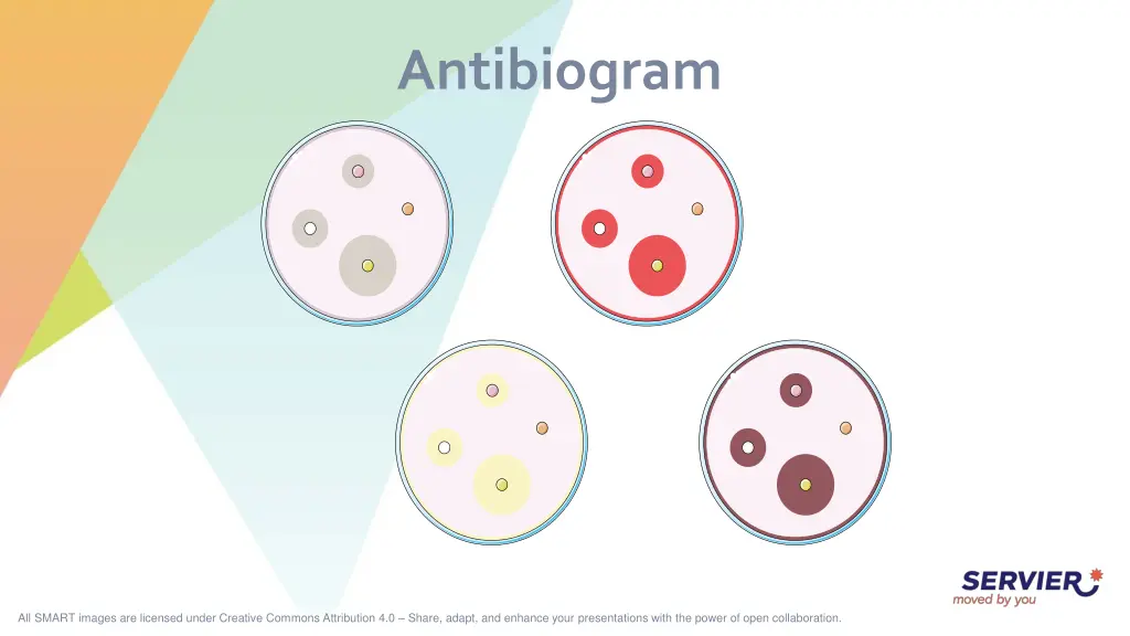 antibiogram