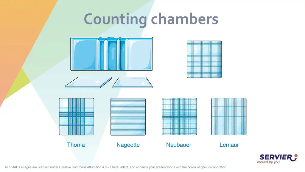 counting chambers