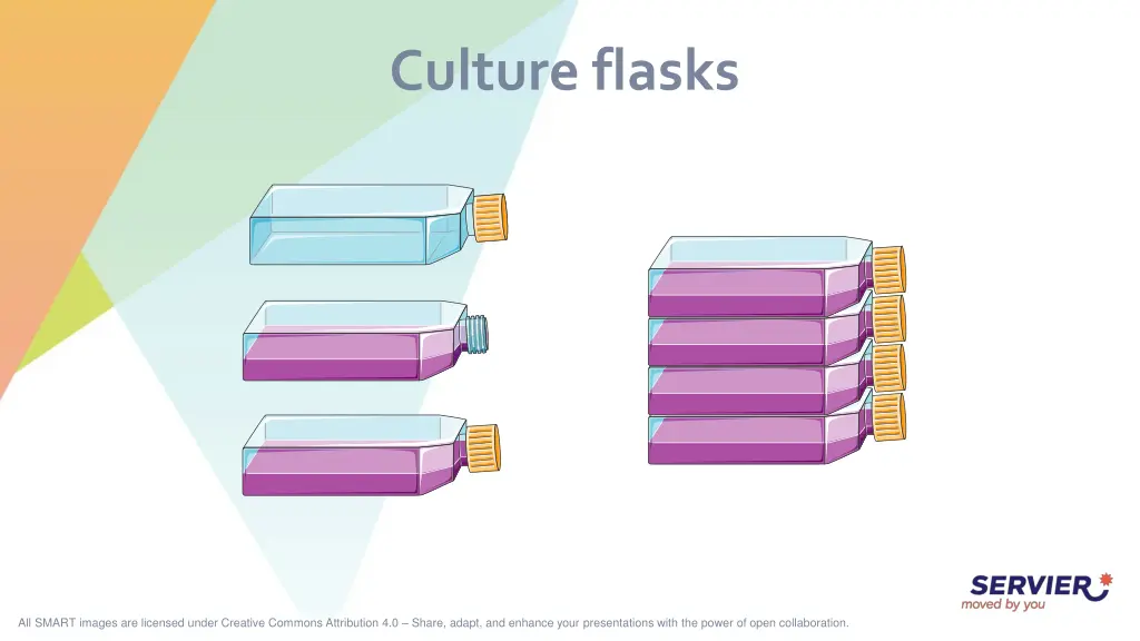 culture flasks