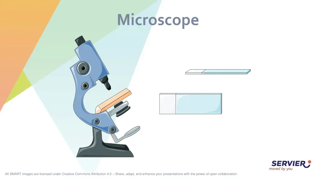 microscope