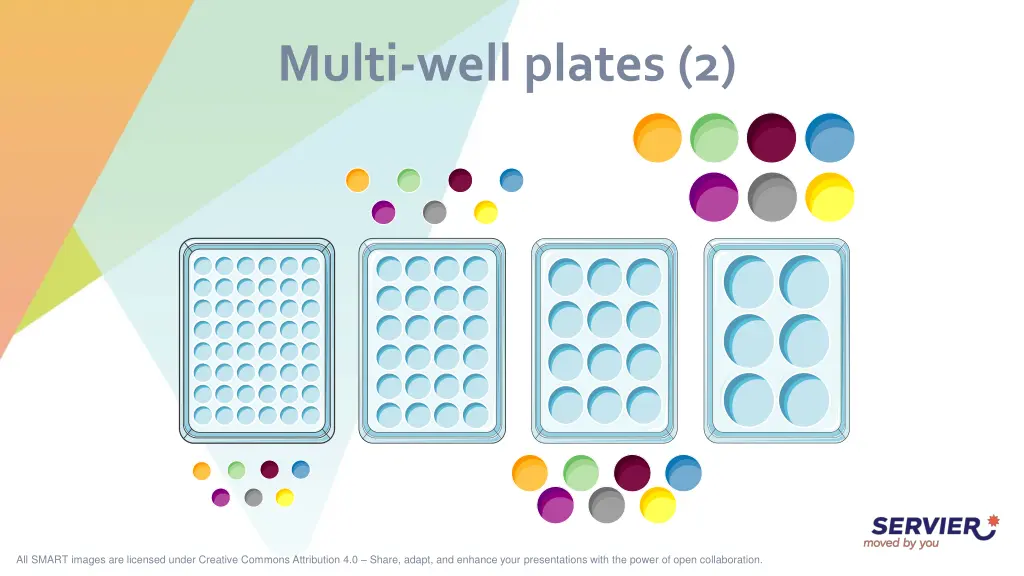 multi well plates 2