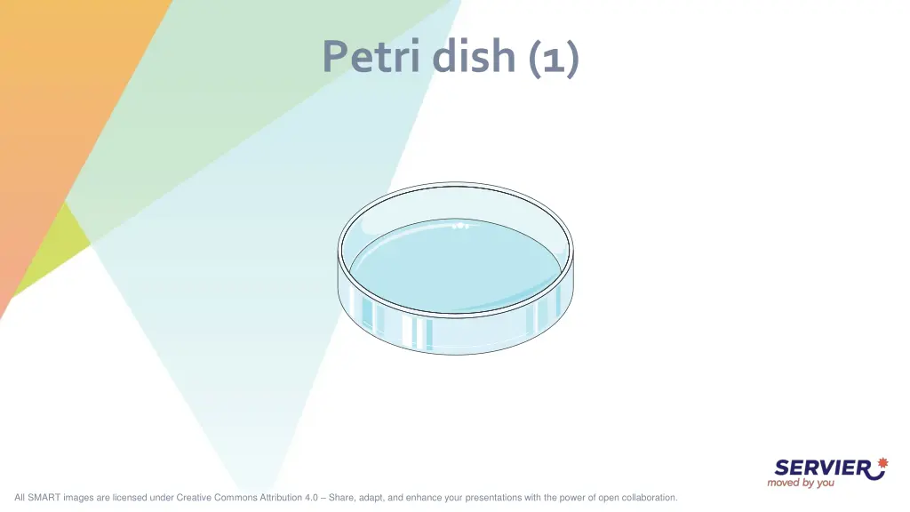 petri dish 1