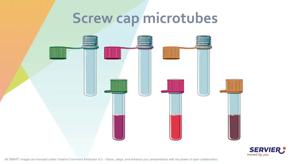 screw cap microtubes