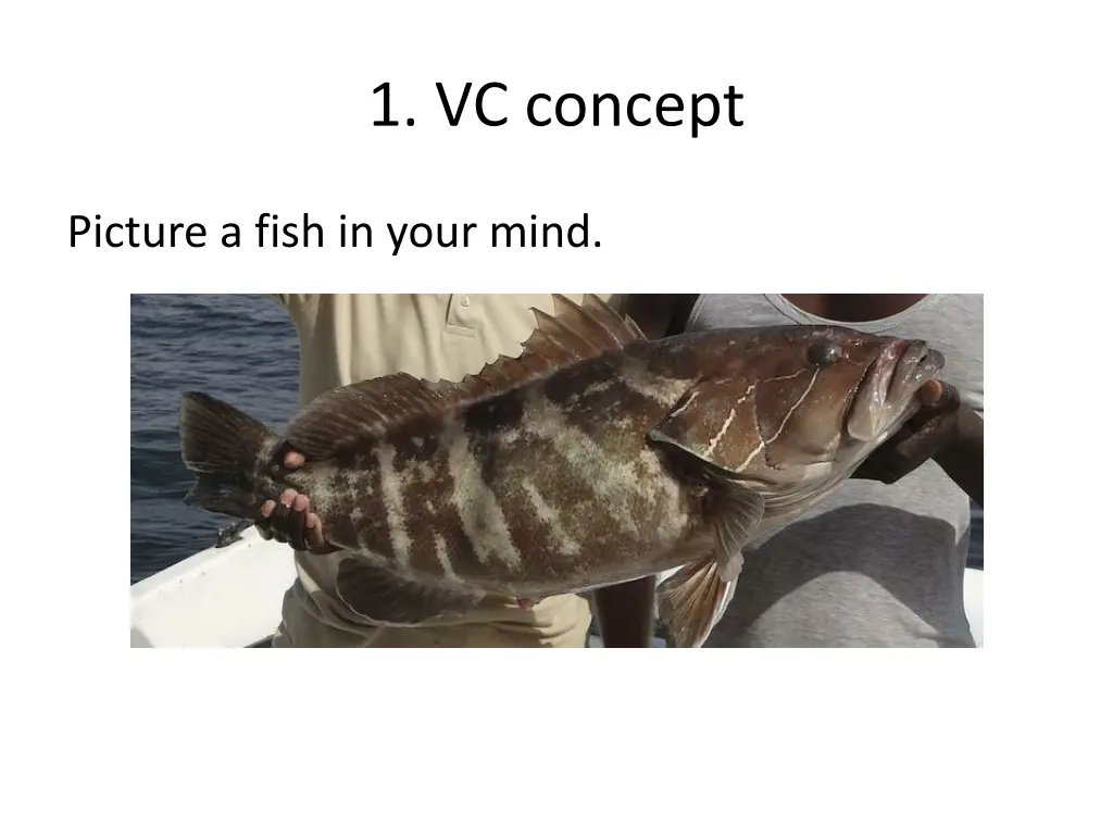 1 vc concept