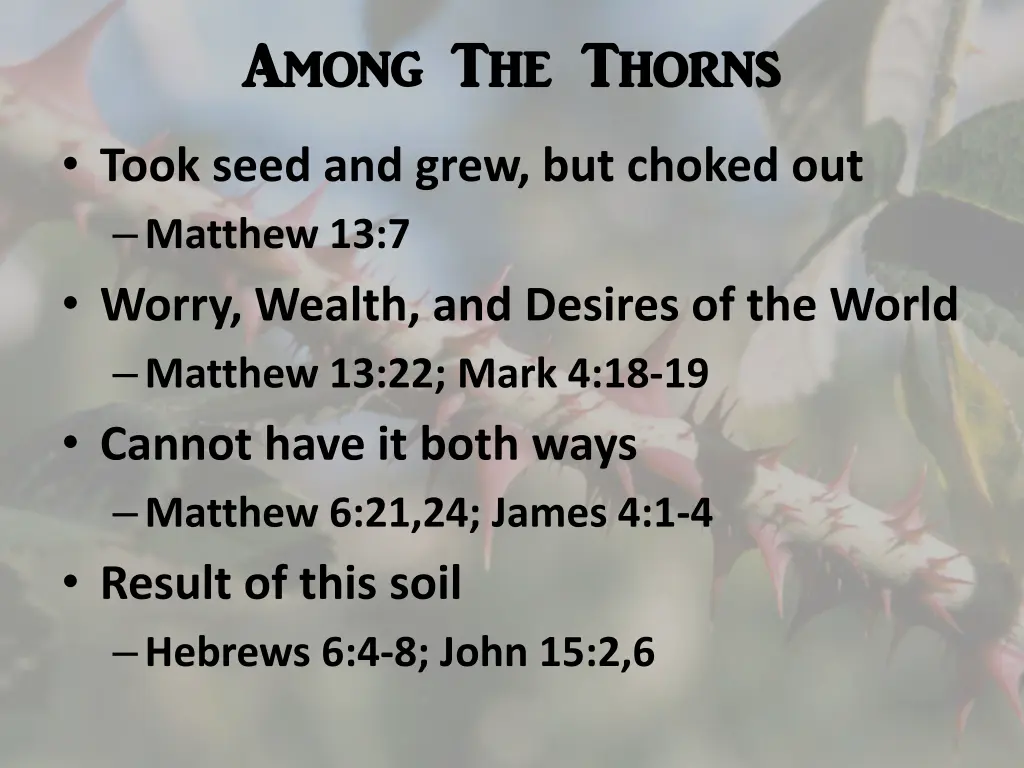 among the thorns among the thorns