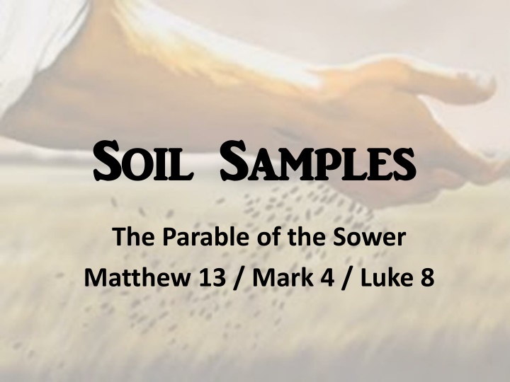 soil samples soil samples
