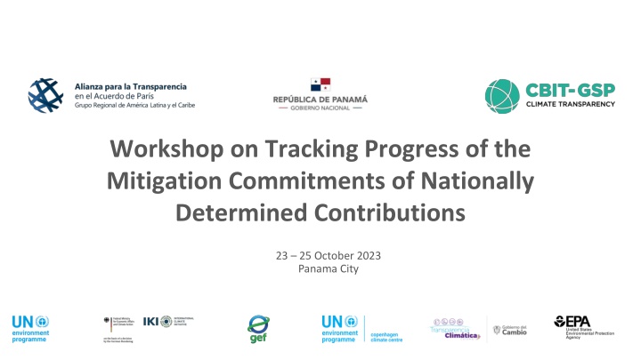 workshop on tracking progress of the mitigation